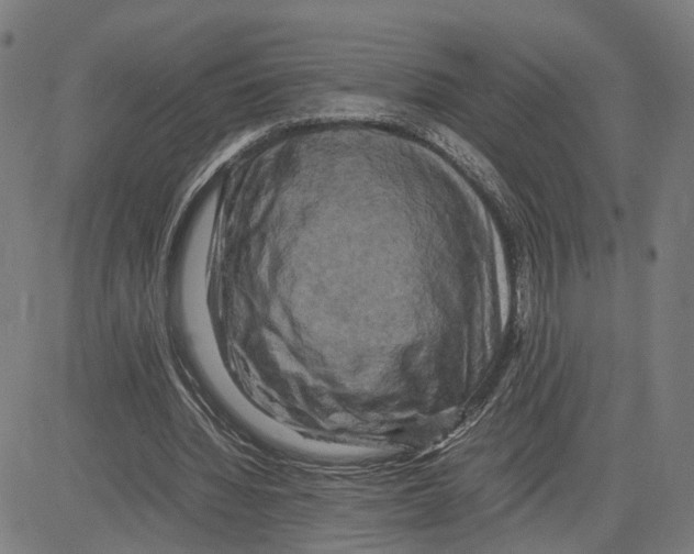 X0000083640436200703121723