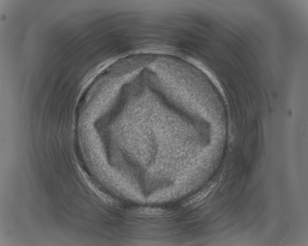 X0000083640437200703121723