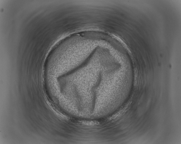 X0000083640439200703121724