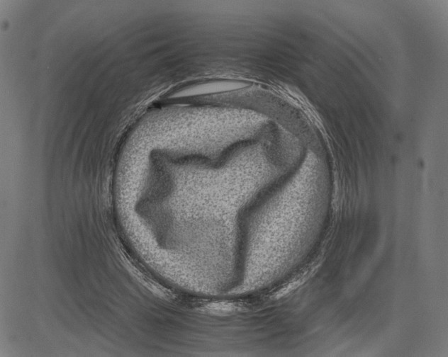 X0000083640441200703121724