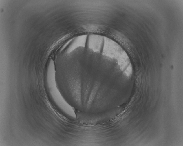 X0000083640442200703121724