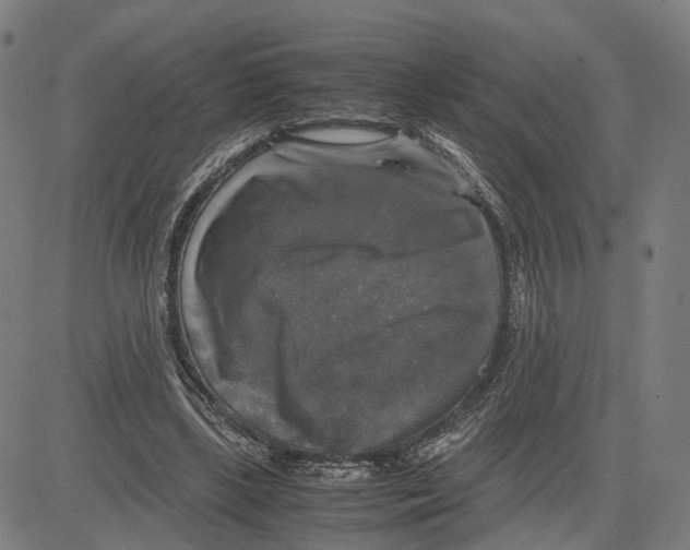 X0000083640443200703121724