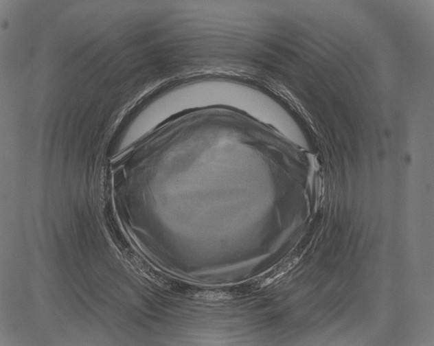 X0000083640444200703121724