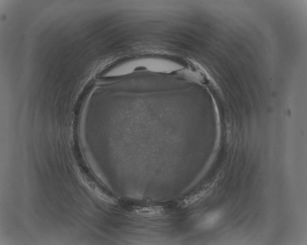 X0000083640447200703121724