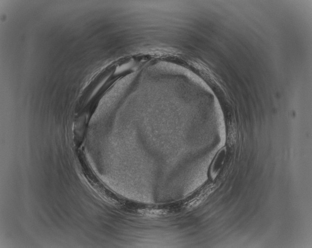 X0000083640448200703121724