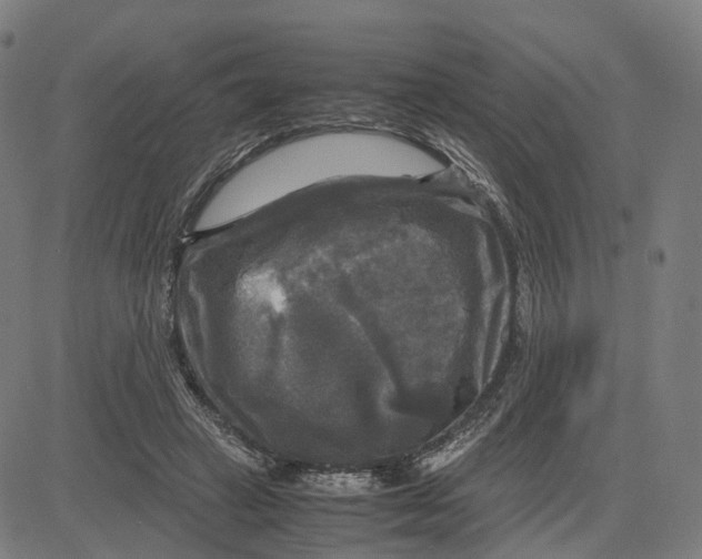 X0000083640449200703121724