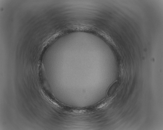 X0000083640450200703121724