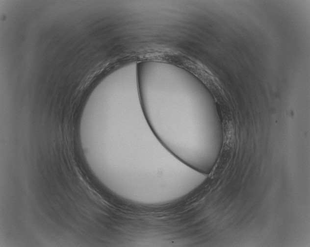 X0000083640452200703121724