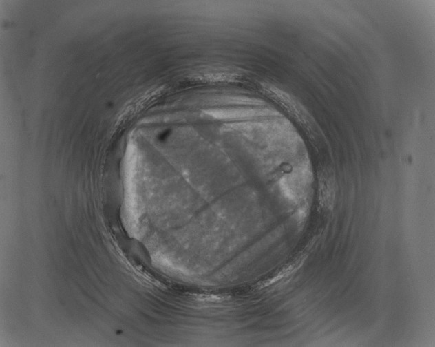 X0000083640453200703121724