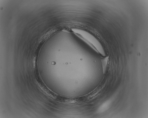 X0000083640454200703121724