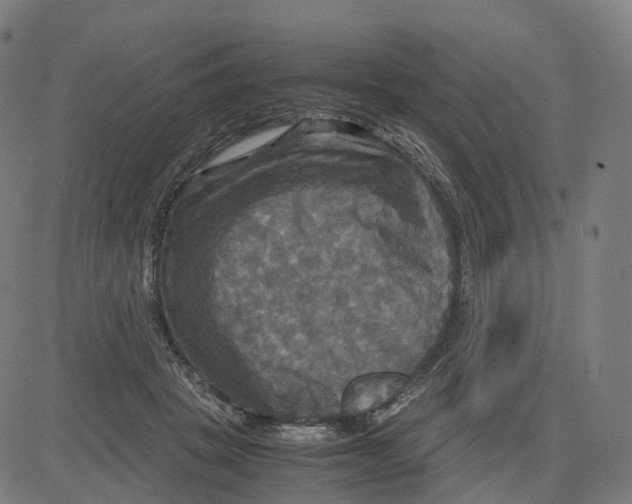 X0000083640457200703121724