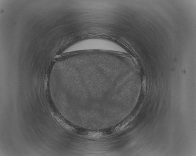 X0000083640458200703121724