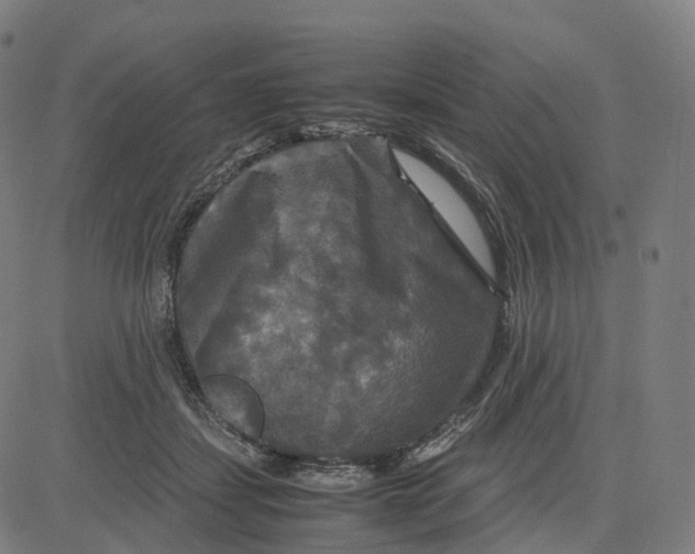 X0000083640459200703121724