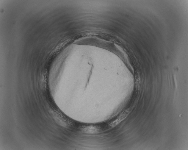 X0000083640460200703121724