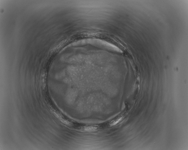 X0000083640462200703121724