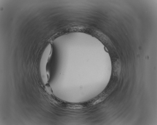 X0000083640463200703121724