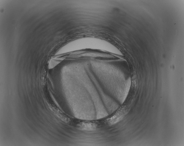 X0000083640464200703121724