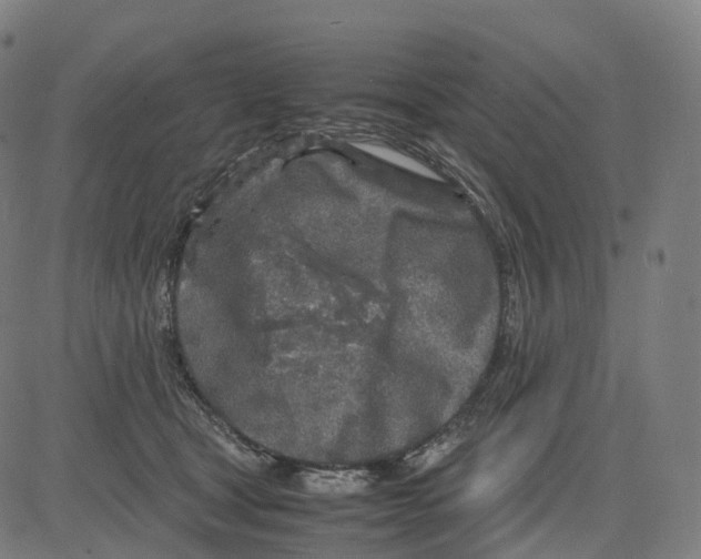 X0000083640465200703121724