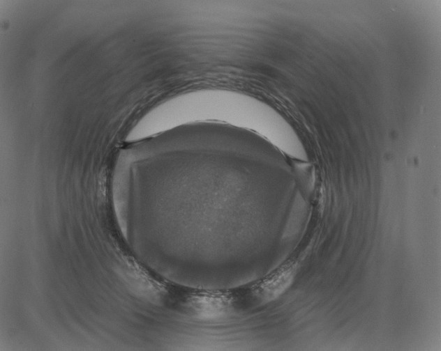 X0000083640466200703121724