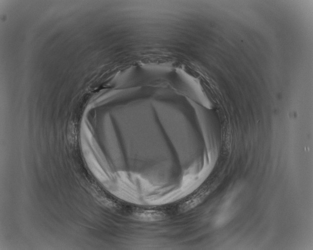 X0000083640467200703121724