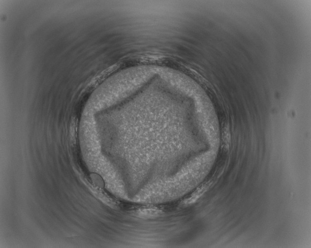 X0000083640468200703121724