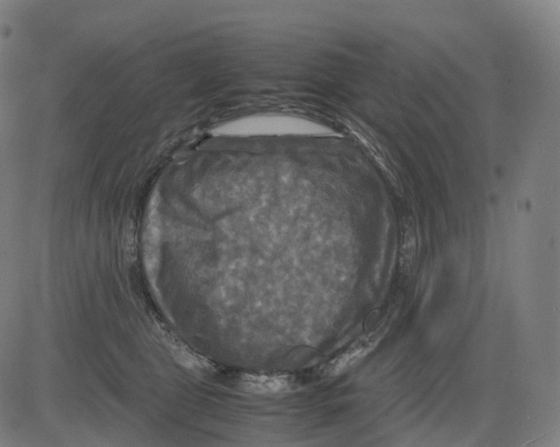 X0000083640469200703121724