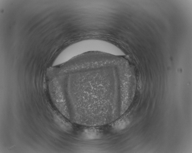 X0000083640470200703121724