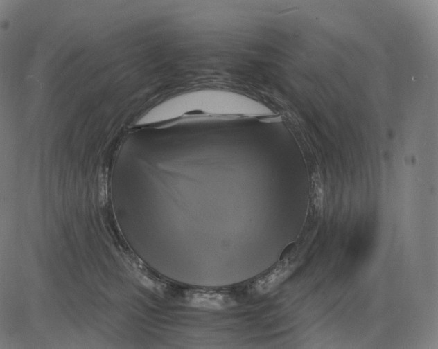 X0000083640471200703121724