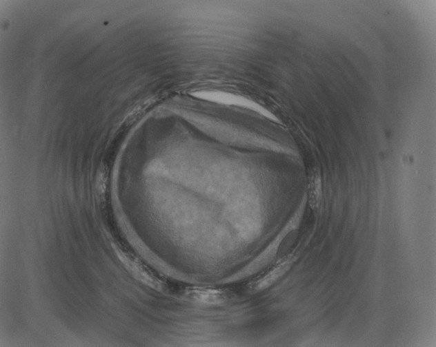 X0000083640472200703121724