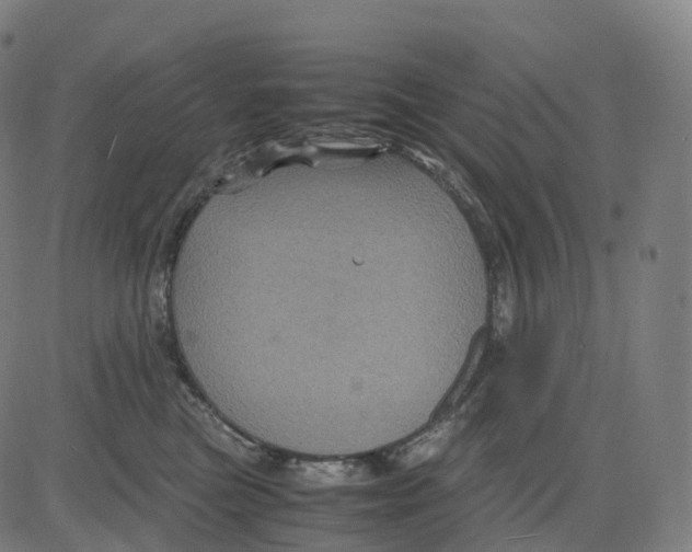 X0000083640473200703121724