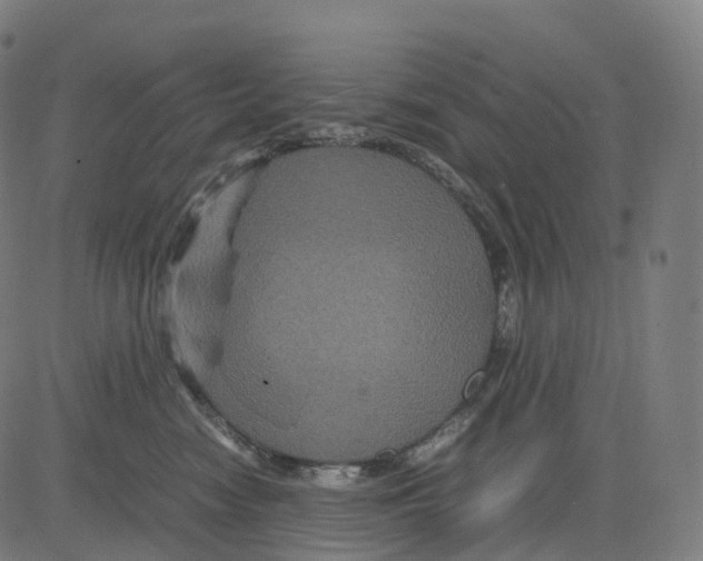 X0000083640474200703121724