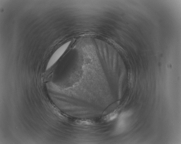 X0000083640475200703121724