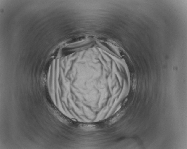 X0000083640476200703121724