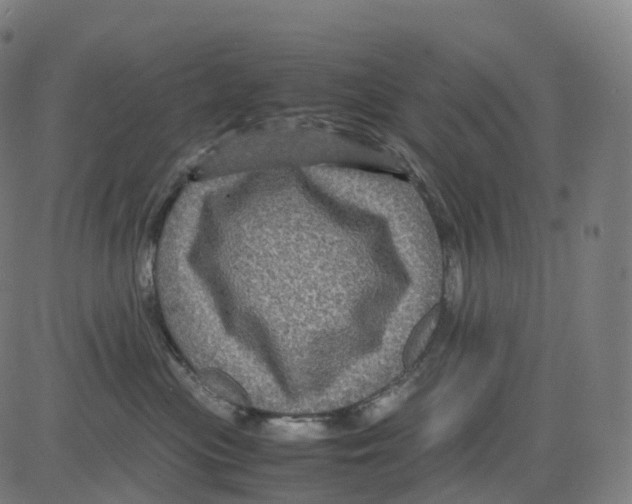 X0000083640477200703121724