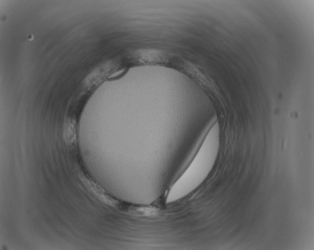 X0000083640478200703121724