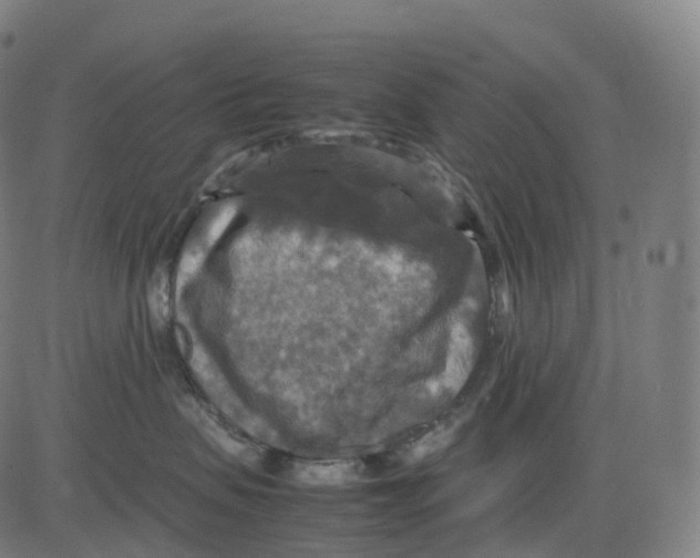 X0000083640479200703121724