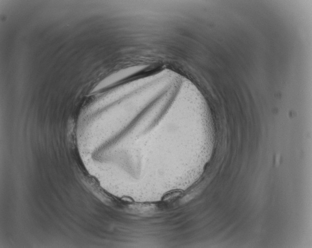 X0000083640480200703121724