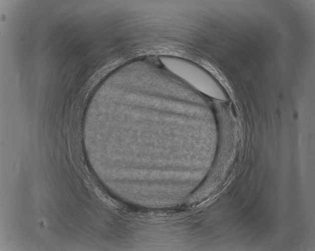 X0000083640481200703121723