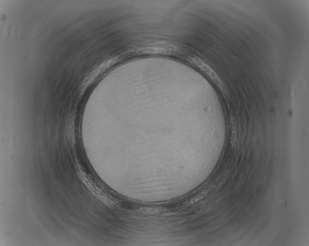 X0000083640482200703121723