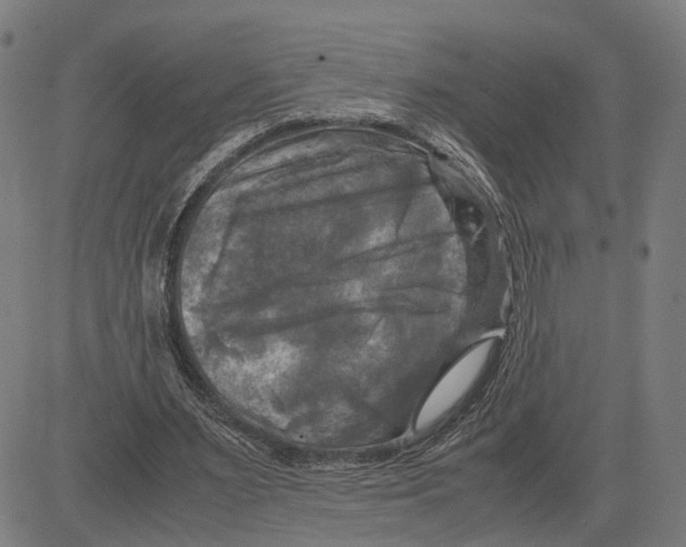 X0000083640483200703121723