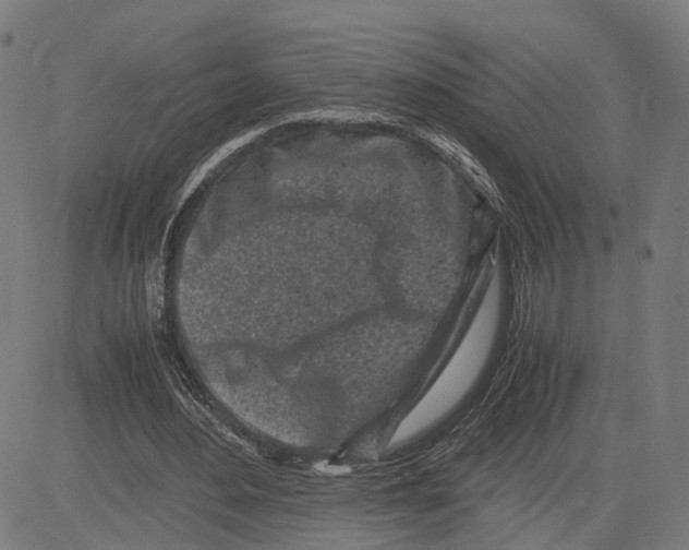 X0000083640484200703121723