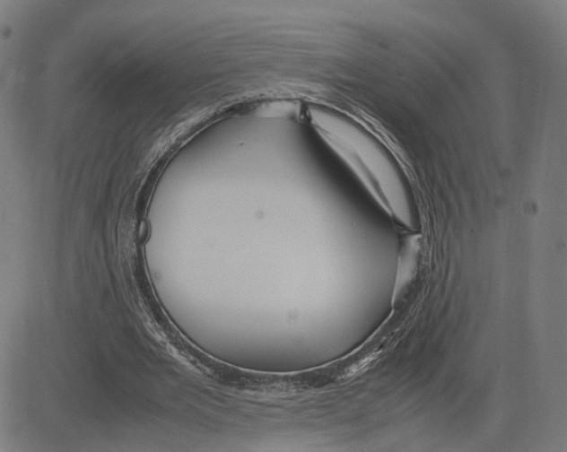 X0000083640485200703121723