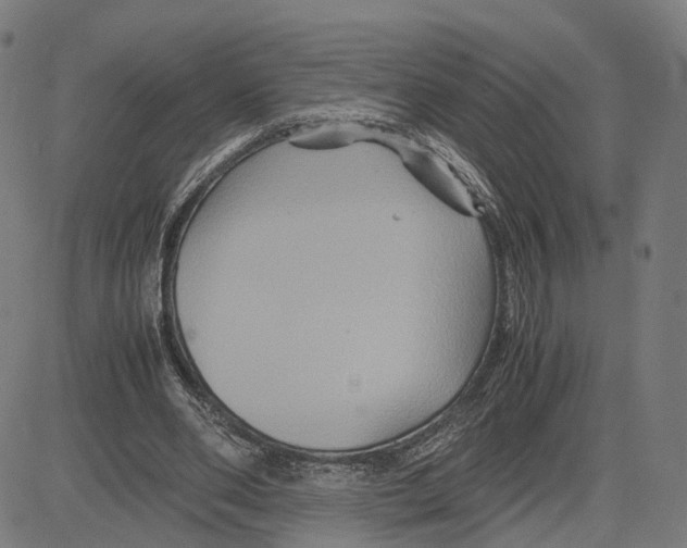 X0000083640486200703121723