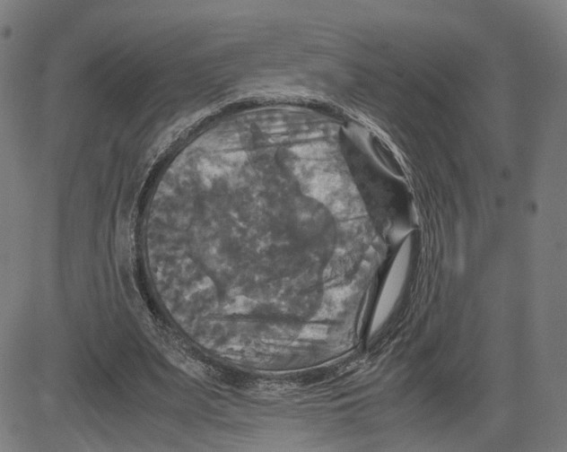 X0000083640487200703121723