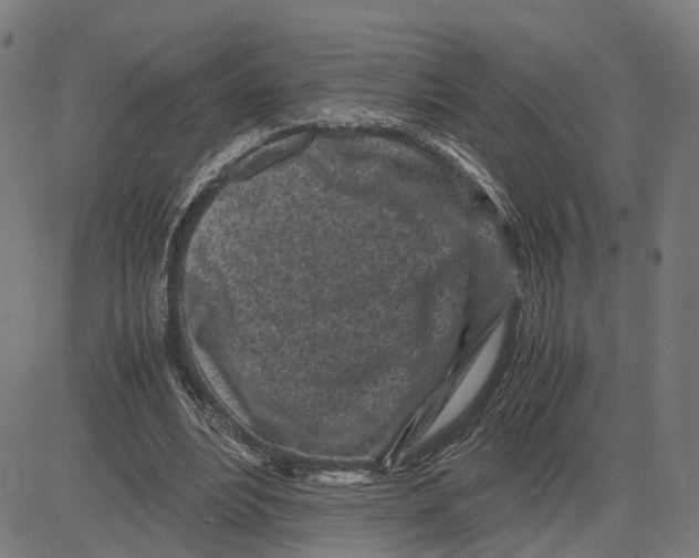 X0000083640488200703121723