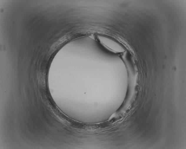 X0000083640489200703121723