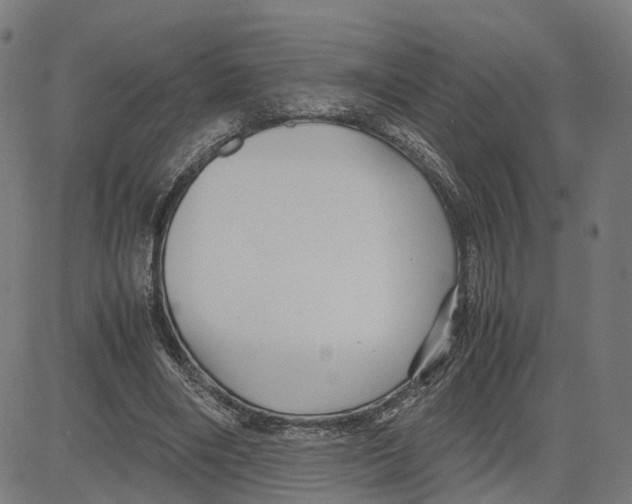 X0000083640490200703121723