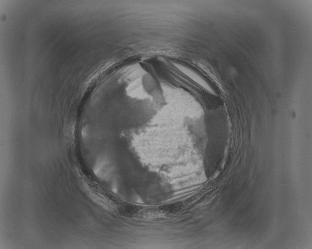 X0000083640491200703121723