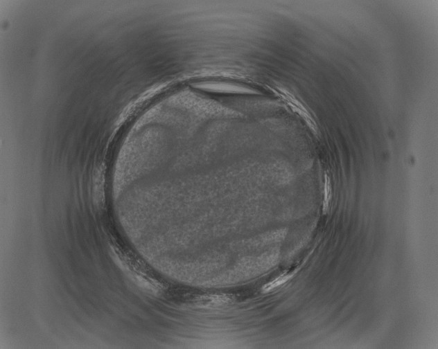 X0000083640492200703121723