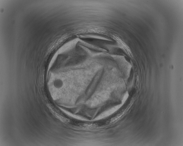 X0000083640493200703121723